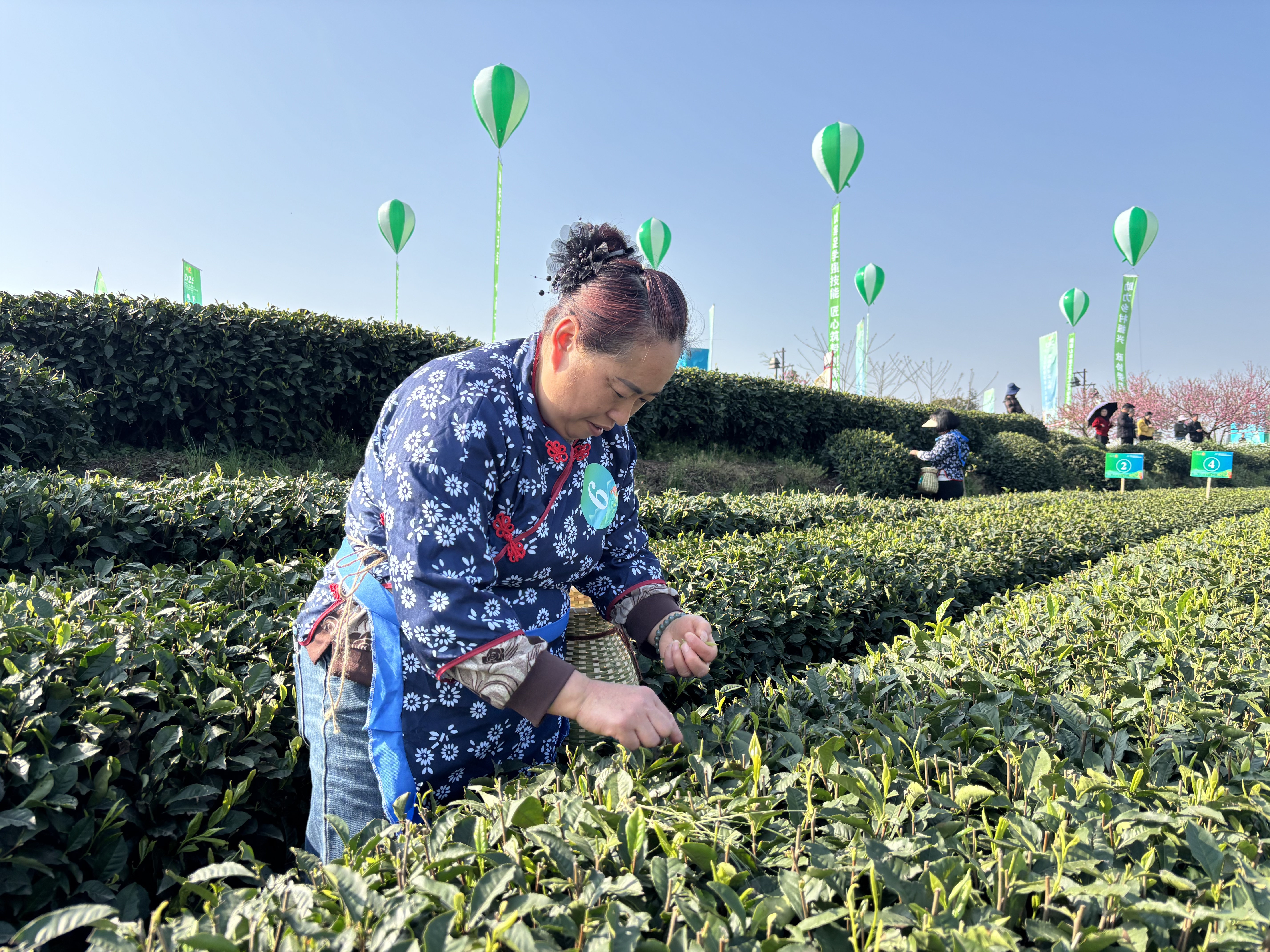 ab998166e85244f3908206a5ae6f7f2802